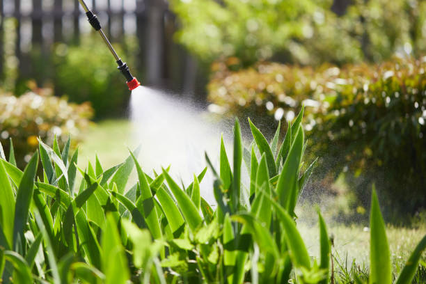 24/7 Emergency Rodent Control experts in Poth, TX