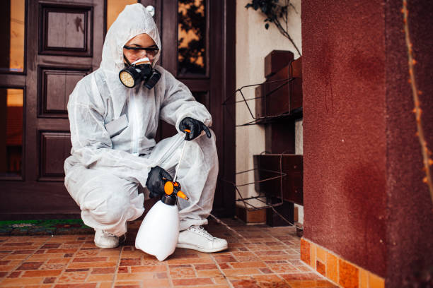 Reliable Rodent Control contractor in Poth, TX by Nex Pest Control