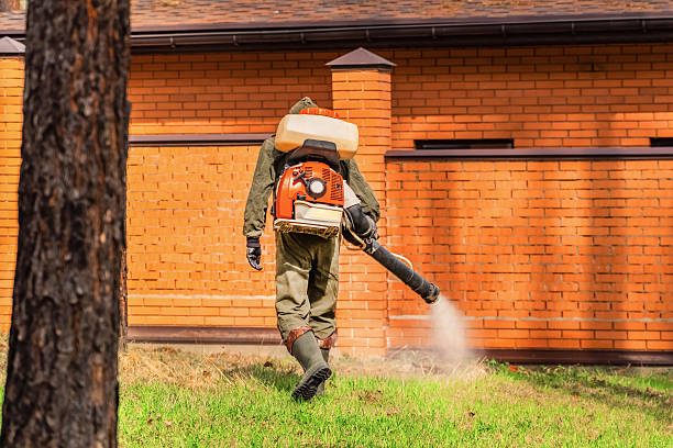 Top rated local Rodent Control specialists in Poth, TX